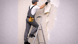 Wallpaper removal фото